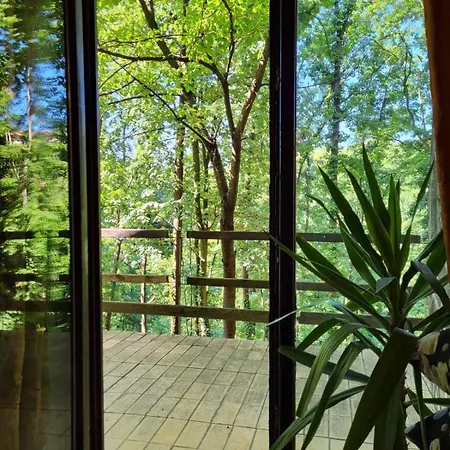 Sumski Raj Case de vacanță