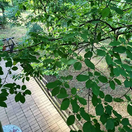 Case de vacanță Sumski Raj