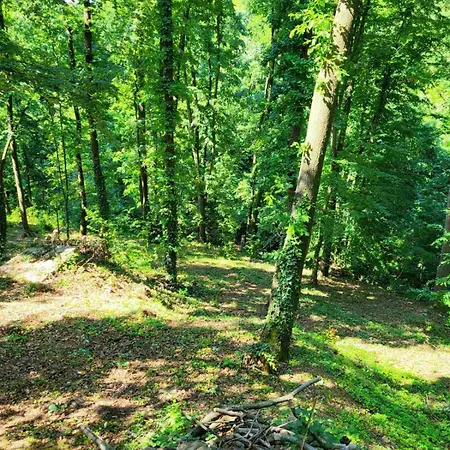Holiday home Sumski Raj Lipovica