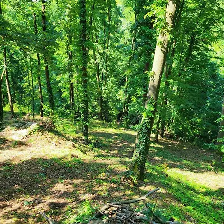 Case de vacanță Sumski Raj Lipovica