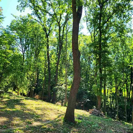 Sumski Raj Holiday home Lipovica