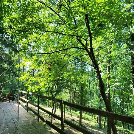 Sumski Raj Holiday home Lipovica