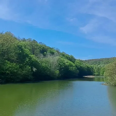 Sumski Raj Case de vacanță Lipovica