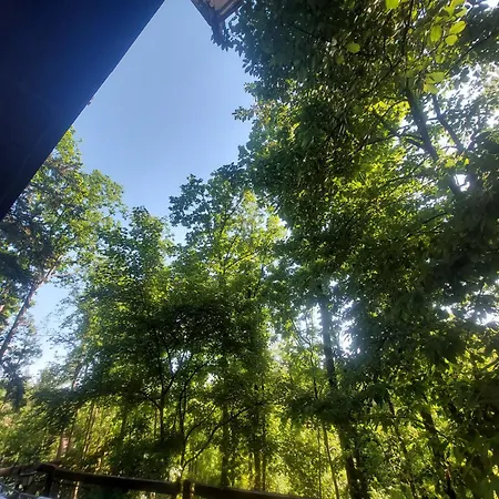 Sumski Raj Case de vacanță *