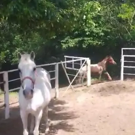 Case de vacanță Sumski Raj