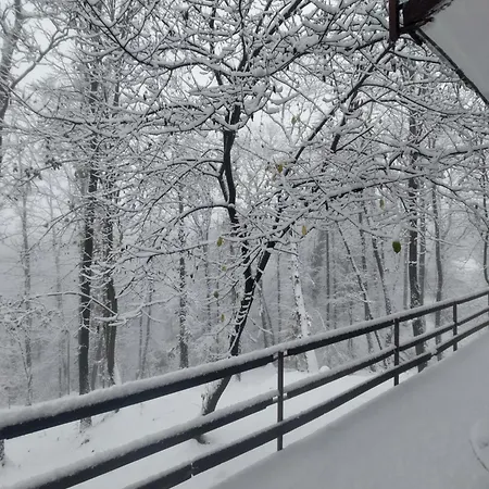 Sumski Raj Case de vacanță