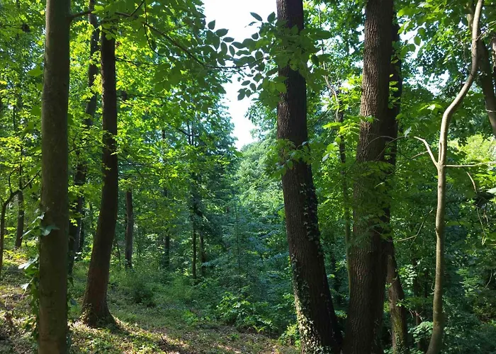 Sumski Raj * Lipovica