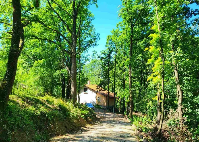 Tatil Evi Sumski Raj Lipovica