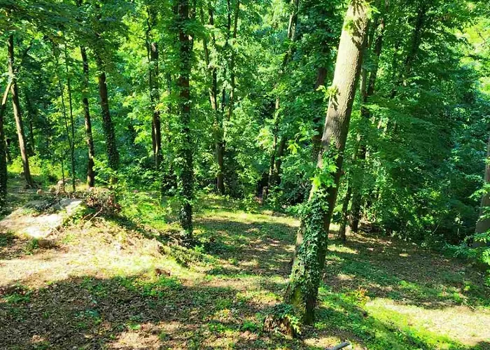 Tatil Evi Sumski Raj Lipovica