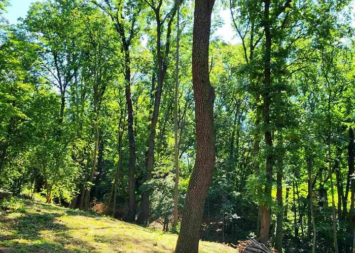 Sumski Raj Tatil Evi Lipovica