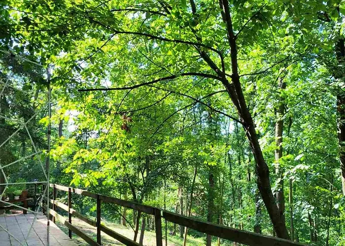 Sumski Raj Tatil Evi Lipovica