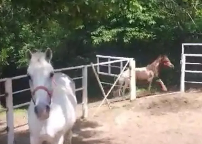 Tatil Evi Sumski Raj