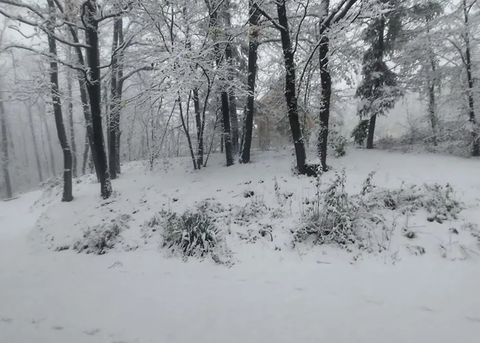 Sumski Raj Tatil Evi Lipovica