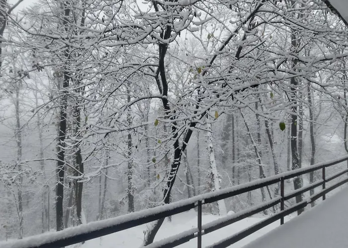 Sumski Raj Tatil Evi