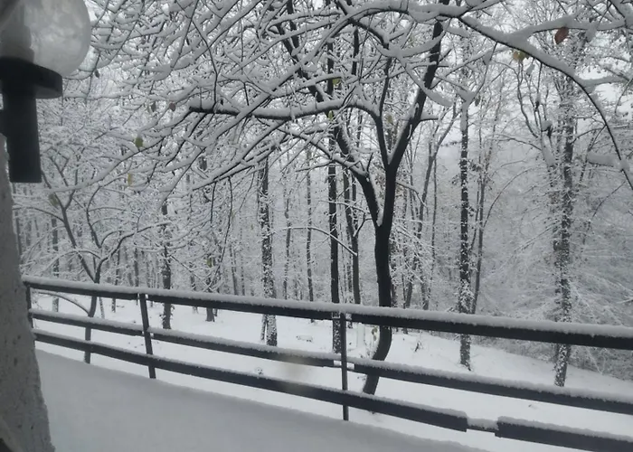 Tatil Evi Sumski Raj Lipovica